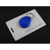 RFID Tag combo of Card and Keychain